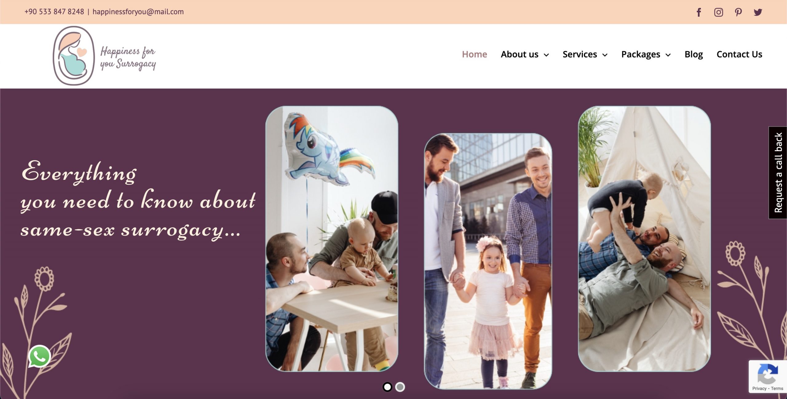 Happiness For You Surrogacy Website & Digital Marketing